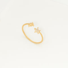 Anel Interstellar Regulável