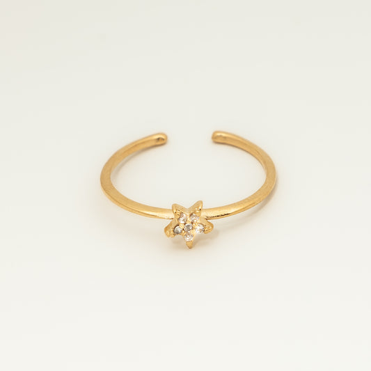 Anel Stellar Regulável