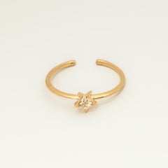 Anel Stellar Regulável