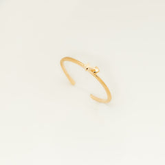 Anel Cosmic Regulável