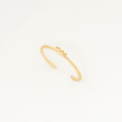 Anel Cosmic Regulável