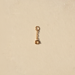 Extensor de Charms