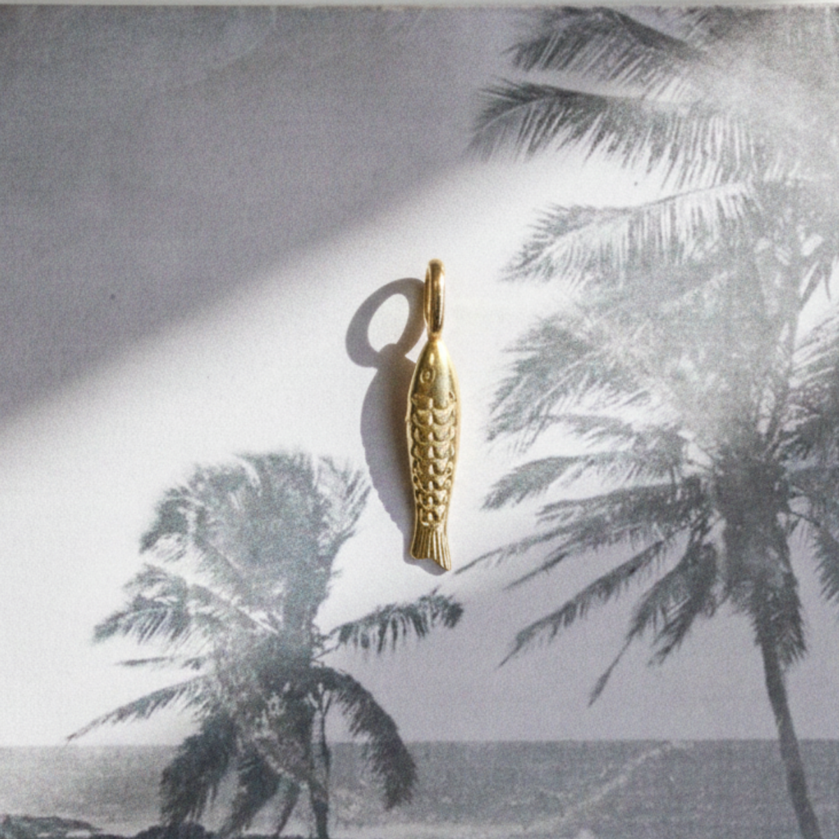 Charm Sardinha Fosco