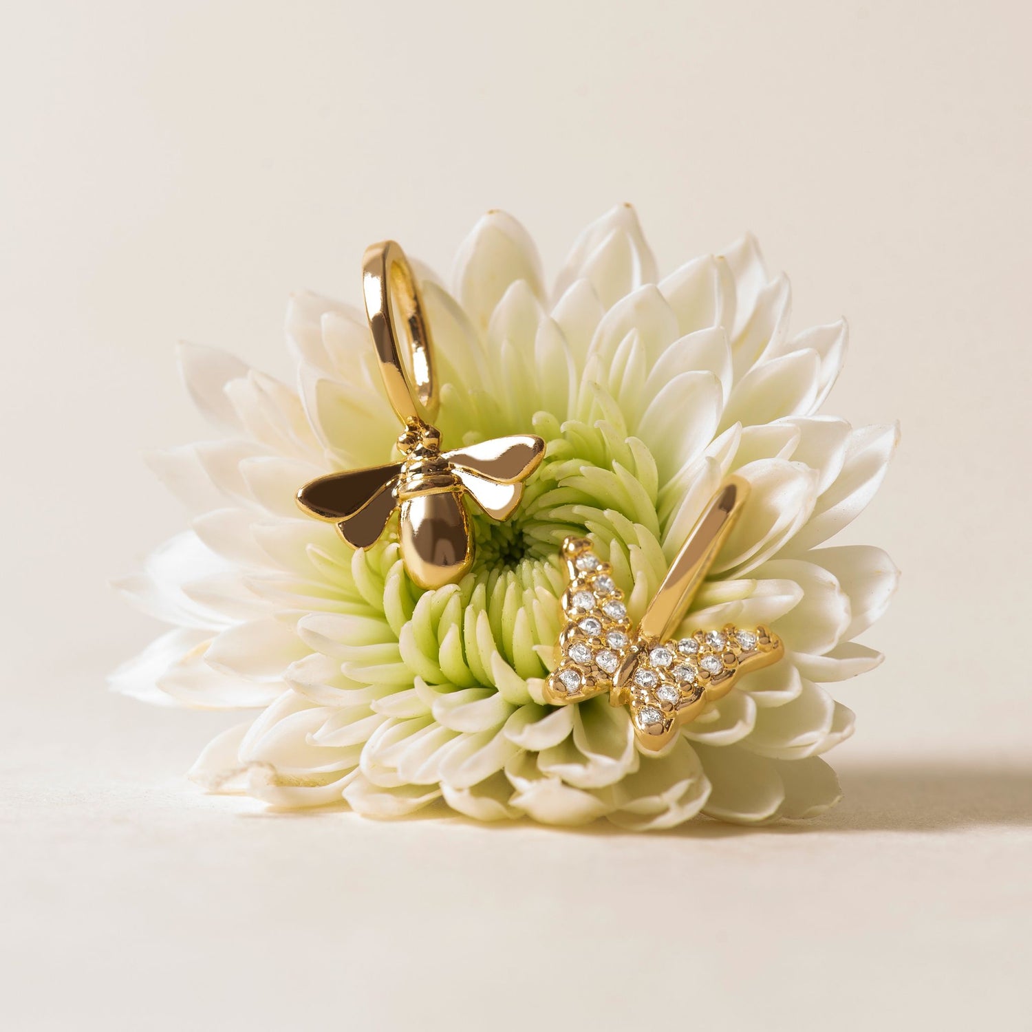 Charm Butterfly