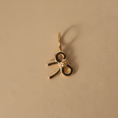 Charm Laço