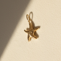 Charm Estrela do Mar