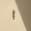 Charm Pérolas