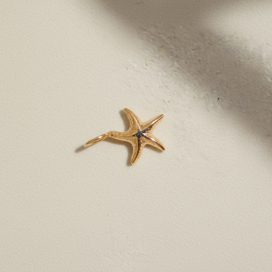 Charm Estrela do Mar